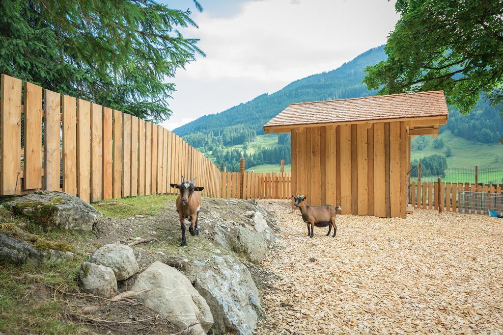 Apartamento Stockhambauer Kleinarl Exterior foto